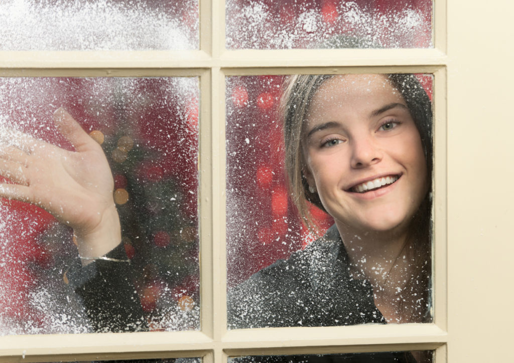 windows with artificial snow